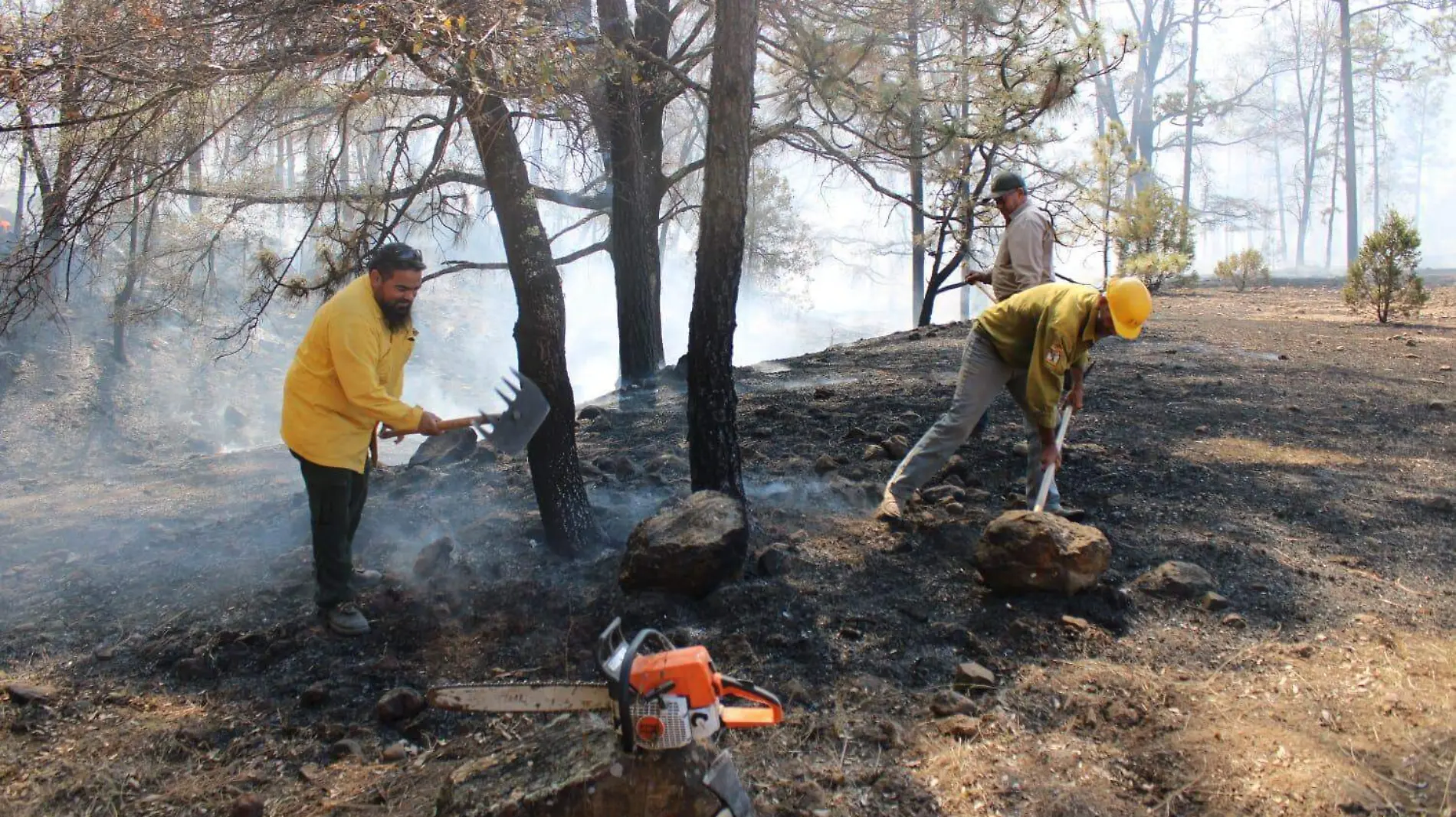 Los incendios forestales provocan contaminación